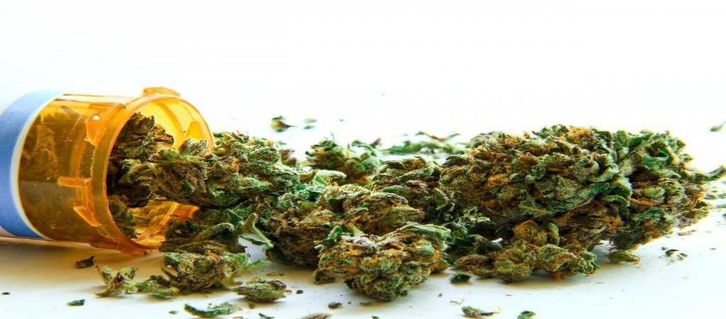 630 Doctors Given Approvals for Medical Marijuana